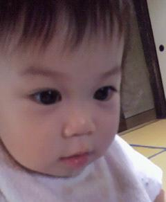 初めまして 始めました サボりました